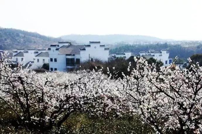 地铁：最后的曙光